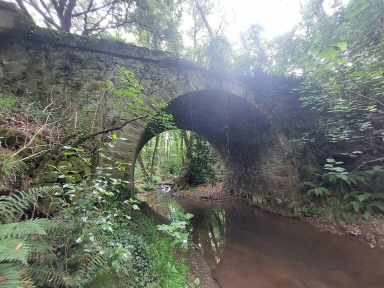 CASCATE DI CERVETERI: L'AMAZZONIA DELL'ALTO LAZIO