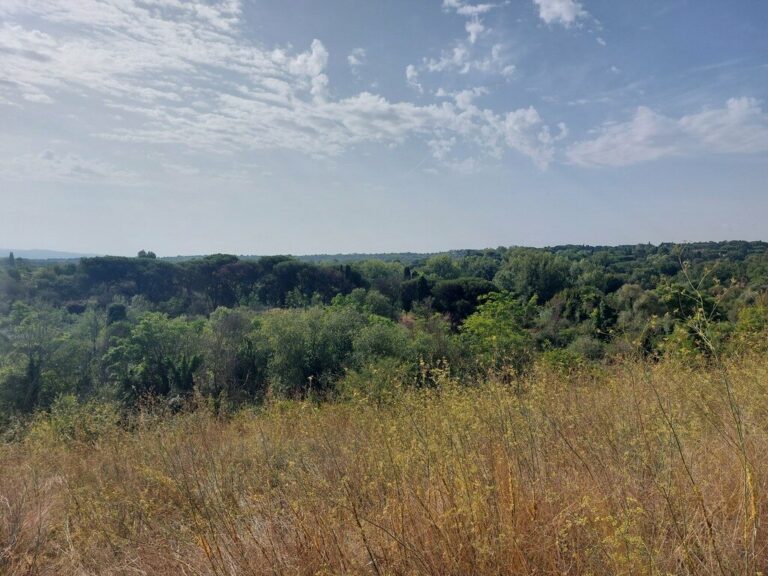 PARCO DELLA CAFFARELLA