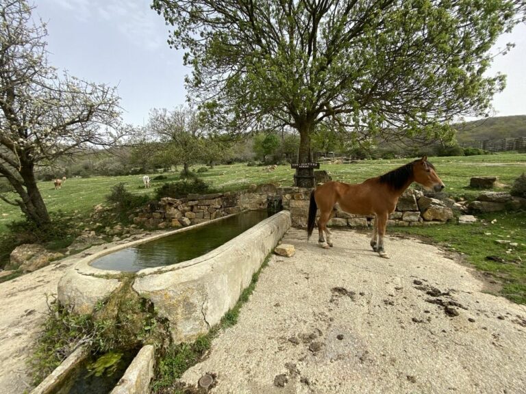 ANTICA MONTERANO, TRA LE ORME DELLA STORIA E DELLA NATURA